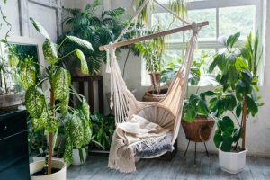 Best indoor plants for purifying indoor environment