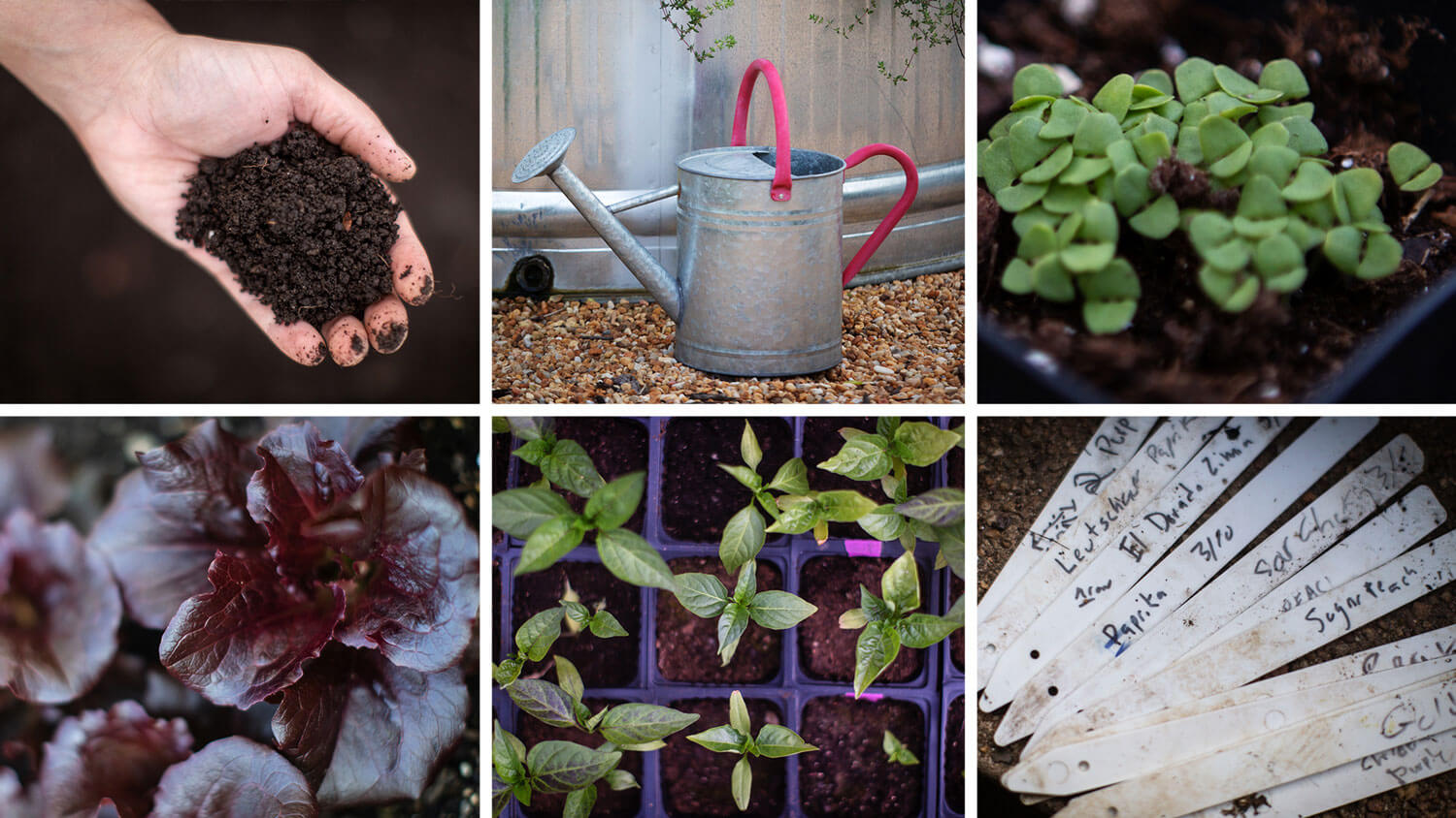 vegetable gardening