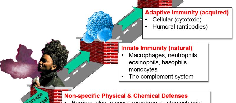 Tips to boost the body’s natural defense mechanism