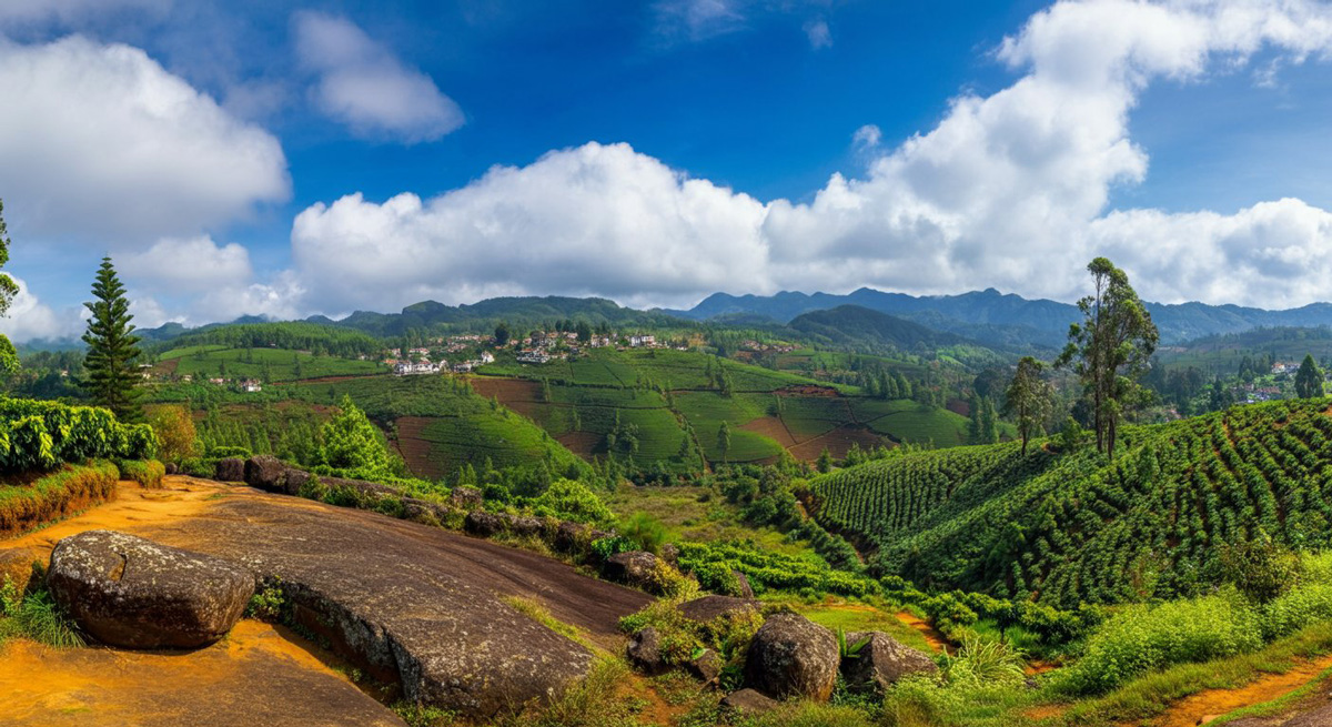 Aerial view of a resort surrounded by lush green forests and coffee plantations in Coorg, Karnataka