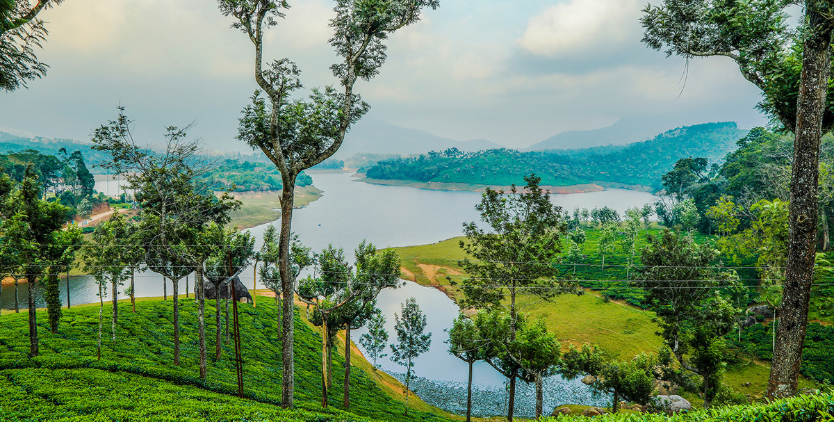 Aerial view of misty tea plantations in Munnar, Kerala during monsoon season